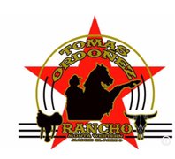 Rutas y clases a caballo madrid Ranchomontecarmelo